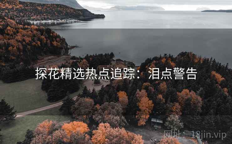 探花精选热点追踪：泪点警告
