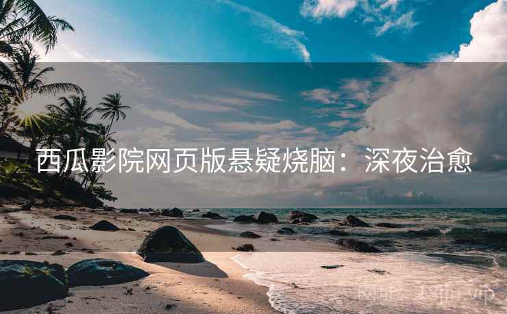 西瓜影院网页版悬疑烧脑：深夜治愈