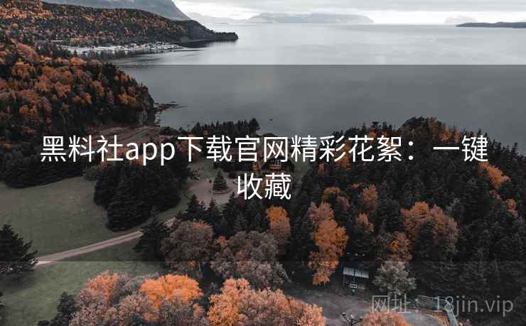 黑料社app下载官网精彩花絮：一键收藏