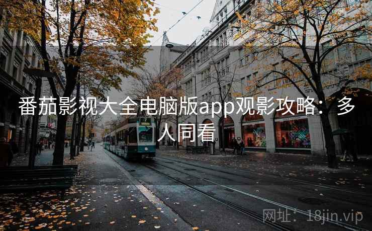 番茄影视大全电脑版app观影攻略：多人同看